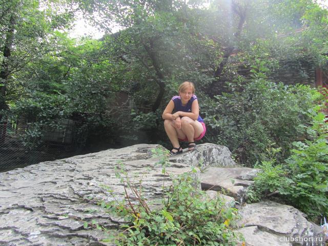 27176_w_1a871cd0.jpg